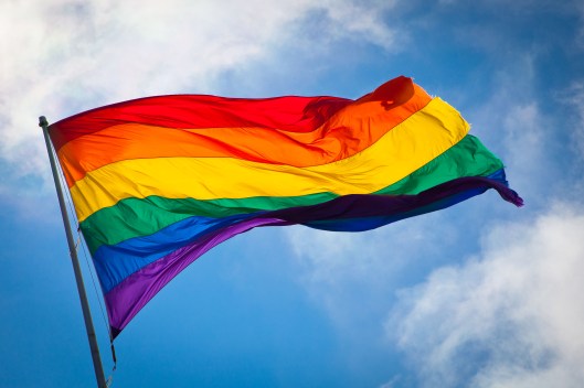 The rainbow flag waving in the wind at San Francisco's Castro District, San Francisco, CA, August 5, 2010. (Benson Kua via Wikipedia). Released to public domain via CC-SA-2.0.