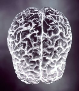 The Spark of Imagination (via x-ray), March 1, 2013. (http://esquire.com).