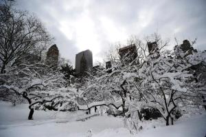 Snow covers trees in Central Park after a storm, New York City, December 28, 2013. (Emmanuel Dunand/AFP/Getty Images via http://www.nydailynews.com).