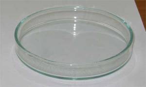 Bottom half of a Petri dish, the only thing I'll buy from City Place Mall in the future, October 20, 2005. (Miaow Miaow via Wikipedia). Released to public domain via CC 2.0.