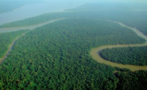 An aerial picture of an area of the Amazon Rainforest, Brazil, September 9, 2009. (Felipe Menegaz via Wikipedia). Released to public domain via CC-SA-3.0/GNU.