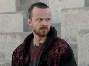 Aaron Paul as Jesse Pinkman in Breaking Bad, Season 5, September 2, 2013. (http://www.businessinsider.com).