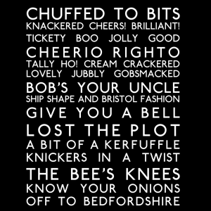 Brit Slang Explained: Translation Chart for a British Slang Bus Blind T-shirt Design, December 21, 2015. (https://anglotees.com.