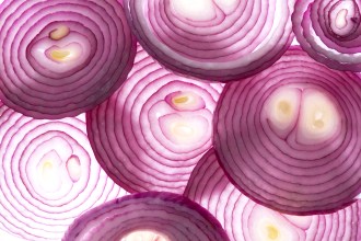 Sliced onion layers, May 7, 2015. (http://www.medicaldaily.com).